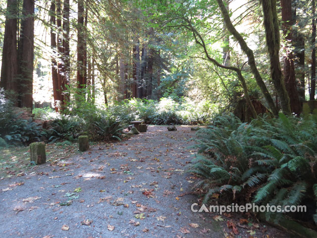 Del Norte Coast Redwoods State Park Mill Creek Campground 037