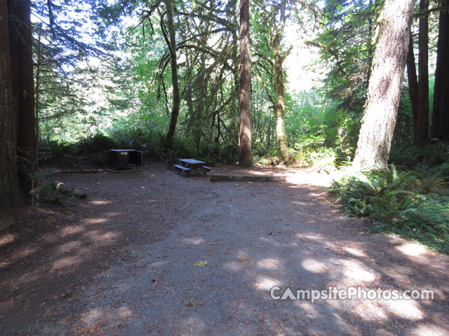 Del Norte Coast Redwoods State Park Mill Creek Campground 044
