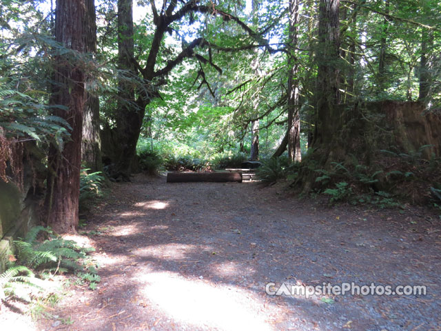 Del Norte Coast Redwoods State Park Mill Creek Campground 047