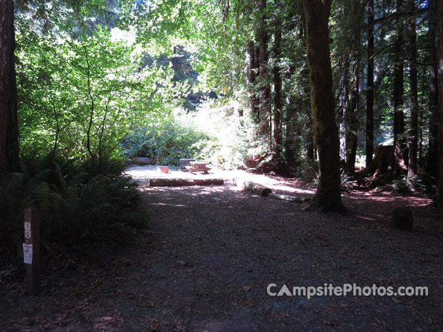 Del Norte Coast Redwoods State Park Mill Creek Campground 050