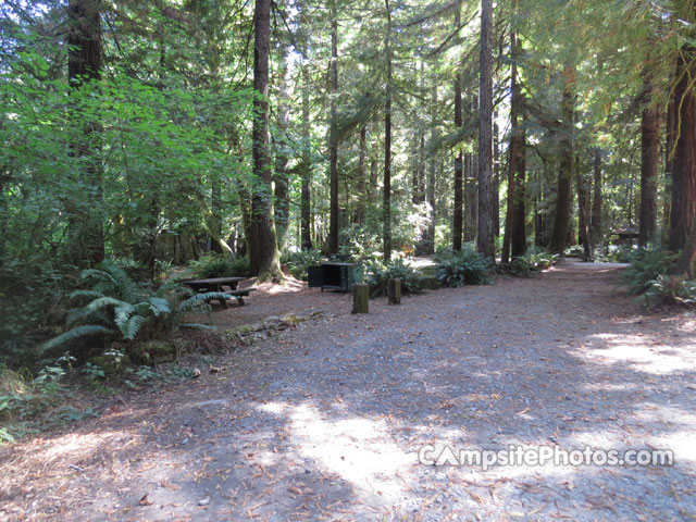 Del Norte Coast Redwoods State Park Mill Creek Campground 051