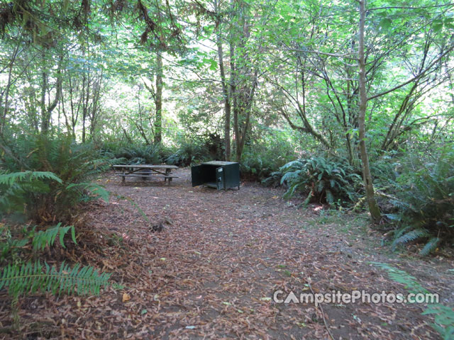 Del Norte Coast Redwoods State Park Mill Creek Campground 060