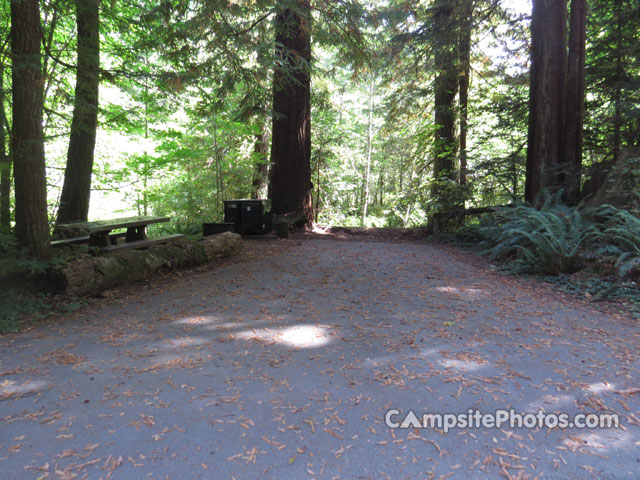 Del Norte Coast Redwoods State Park Mill Creek Campground 074