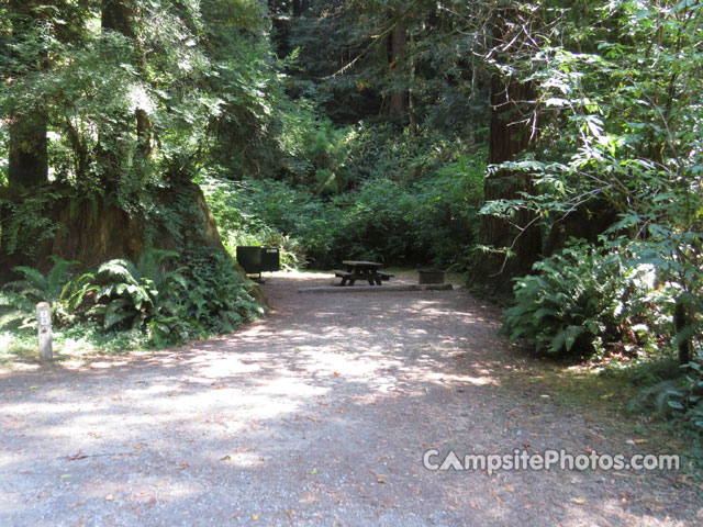 Del Norte Coast Redwoods State Park Mill Creek Campground 078