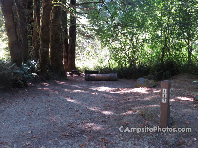 Del Norte Coast Redwoods State Park Mill Creek Campground 111