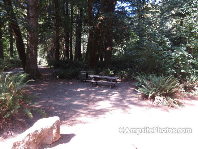 Del Norte Coast Redwoods State Park Mill Creek Campground 120b