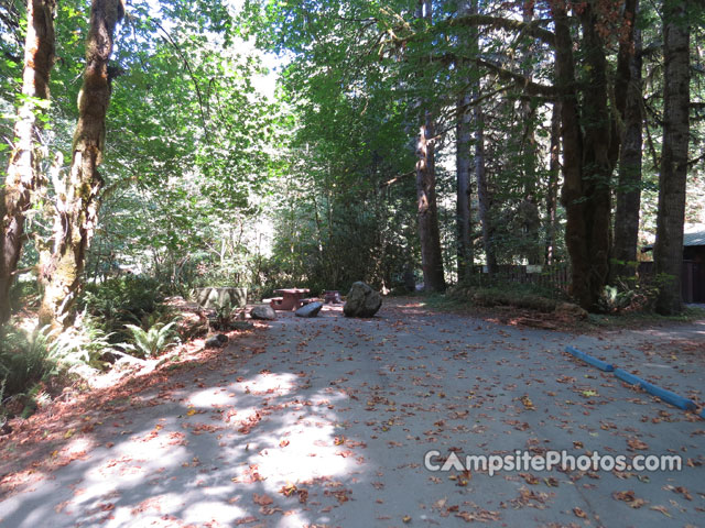 Del Norte Coast Redwoods State Park Mill Creek Campground 125