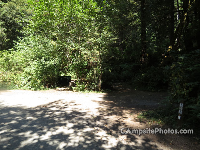Del Norte Coast Redwoods State Park Mill Creek Campground 132