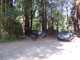 Del Norte Coast Redwoods State Park Mill Creek Campground 003