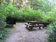 Del Norte Coast Redwoods State Park Mill Creek Campground 004