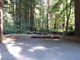 Del Norte Coast Redwoods State Park Mill Creek Campground 008