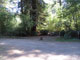 Del Norte Coast Redwoods State Park Mill Creek Campground 011