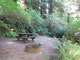 Del Norte Coast Redwoods State Park Mill Creek Campground 022