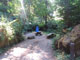 Del Norte Coast Redwoods State Park Mill Creek Campground 025