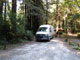 Del Norte Coast Redwoods State Park Mill Creek Campground 028