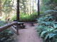 Del Norte Coast Redwoods State Park Mill Creek Campground 029