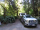 Del Norte Coast Redwoods State Park Mill Creek Campground 033