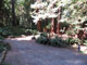 Del Norte Coast Redwoods State Park Mill Creek Campground 034
