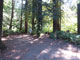 Del Norte Coast Redwoods State Park Mill Creek Campground 039