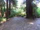 Del Norte Coast Redwoods State Park Mill Creek Campground 043