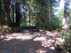 Del Norte Coast Redwoods State Park Mill Creek Campground 045