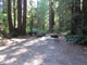 Del Norte Coast Redwoods State Park Mill Creek Campground 046