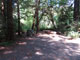 Del Norte Coast Redwoods State Park Mill Creek Campground 048