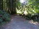 Del Norte Coast Redwoods State Park Mill Creek Campground 053