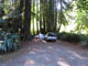 Del Norte Coast Redwoods State Park Mill Creek Campground 055