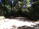 Del Norte Coast Redwoods State Park Mill Creek Campground 059