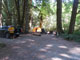 Del Norte Coast Redwoods State Park Mill Creek Campground 063
