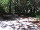 Del Norte Coast Redwoods State Park Mill Creek Campground 071