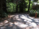 Del Norte Coast Redwoods State Park Mill Creek Campground 072
