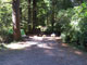 Del Norte Coast Redwoods State Park Mill Creek Campground 079