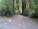 Del Norte Coast Redwoods State Park Mill Creek Campground 086