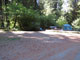 Del Norte Coast Redwoods State Park Mill Creek Campground 089