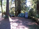 Del Norte Coast Redwoods State Park Mill Creek Campground 091