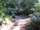 Del Norte Coast Redwoods State Park Mill Creek Campground 094