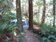 Del Norte Coast Redwoods State Park Mill Creek Campground 095