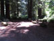 Del Norte Coast Redwoods State Park Mill Creek Campground 096