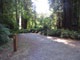 Del Norte Coast Redwoods State Park Mill Creek Campground 097