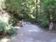 Del Norte Coast Redwoods State Park Mill Creek Campground 098