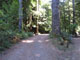 Del Norte Coast Redwoods State Park Mill Creek Campground 099