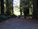 Del Norte Coast Redwoods State Park Mill Creek Campground 100