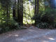 Del Norte Coast Redwoods State Park Mill Creek Campground 101