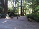 Del Norte Coast Redwoods State Park Mill Creek Campground 103