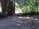 Del Norte Coast Redwoods State Park Mill Creek Campground 111