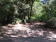 Del Norte Coast Redwoods State Park Mill Creek Campground 112