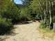 Del Norte Coast Redwoods State Park Mill Creek Campground 113