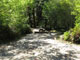 Del Norte Coast Redwoods State Park Mill Creek Campground 114